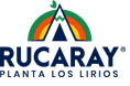Logo sistemas web
